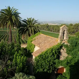 Mas Palou Pla del Penedès
